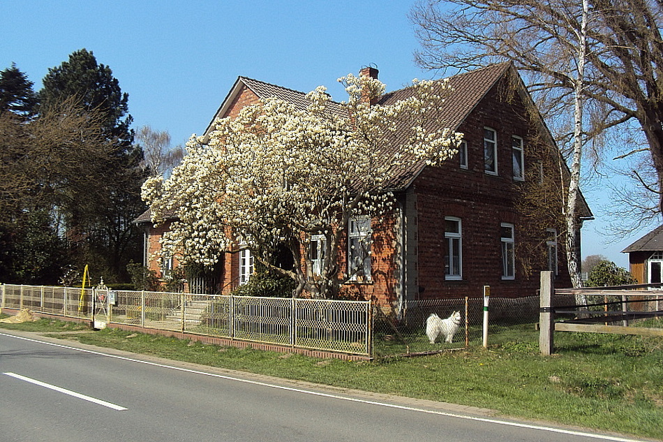 Dinklager Straße 29